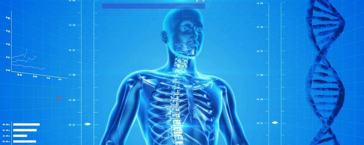 Anatomy homepage
